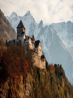 cover image of The Shadow of Castle Blackmoor